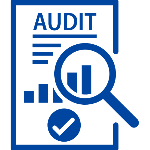 Website-Speed Audit